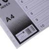 遠生US-010A隔頁紙11孔10頁塑料索引紙10頁分類卡A4分類紙